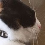 marcy graham - @officialmarcycat - Instagram