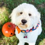 Marcy Graham Welch - @mgw1215 - Instagram