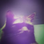 Marcy hampton - @marcyhampton5 - Instagram