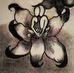 Marcy Howard - Facebook