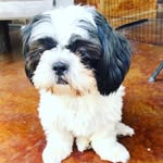 Marcy King - @lifewithdaisyjane - Instagram