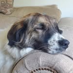 Marcy Kleeman - @marcykleeman - Instagram