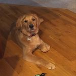 Marcy Klein - @marcyklein123 - Instagram