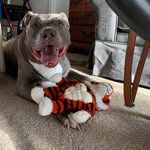 Marcy Klein - @marcy.werbner - Instagram