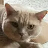 Marco Koschinsky - @marcokoschinsky - TikTok