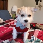 Marcy Lambert-Gilbert - @marcylambertgilbert - Instagram