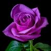 Marcy79 - @marcyleonard2016 - TikTok