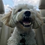 Marcy Link - @marcywiner - Instagram