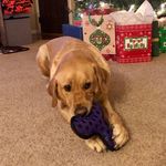 Marcy Kopple Lowe - @marcylowe1971 - Instagram