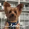 Marcie Wildman Lyons - @marciewildmanly - TikTok