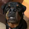 Marcie Madden - @marcie.madden - TikTok