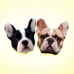 Marcy + Marcus - @marcyplusmarcus - Instagram