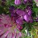 Marcia Marsh - Facebook