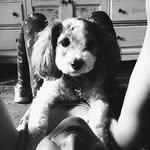 MarcyMarshmallowMonkey - @marcymarshmallowmonkey - Instagram