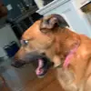 Marcy - @marcy..marshall - TikTok