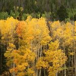 Marcy Matthews - @blairranch - Instagram