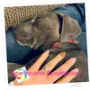 Marcy Mayer-Tritt - @sparkleyardsdipsydip - TikTok