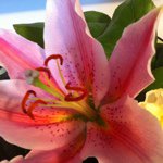 @marcymccallum - Instagram