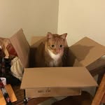 Marcy McCarthy - @timmyplusfriends - Instagram