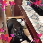 Marcy Mclean - Facebook