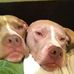 Marcy Medrano - Facebook