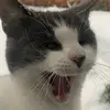 M - @michael..marcy - TikTok