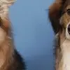 Marci Morrison - @marci.morrison - TikTok