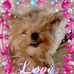 Marcy Y. Murray - Facebook