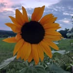 Marcy Park - @marcy.park716 - Instagram