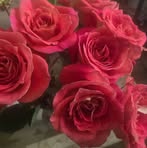 Marcy Patterson - Facebook