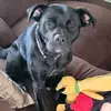 Banríon - @marcypine - TikTok