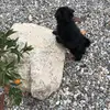 marcy_ramos2 - @defnotmarcy - TikTok