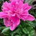 Marcy Shaw - Facebook