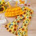 Shein Marco - Facebook