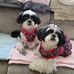 Marcy Smith - Facebook