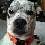Marcy Snyder - @marcymarie3 - Instagram
