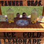 Marcy Tanner - @tannerbroslemonade - Instagram