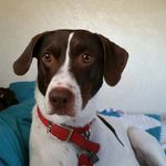 Marcy Warren - @marcy.warren.146 - Instagram