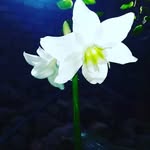 marcywest - @marcy_west9 - Instagram