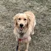 Marcy White - @marcy.white2 - TikTok
