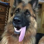Marcy Wolfe - @marcywolfe1 - Instagram