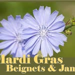Mardi Gras - @mardigrasbeignets - Instagram