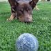 Maree Smith - Facebook