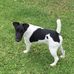 Maree Smith - Facebook