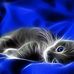 Maree Taylor - Facebook