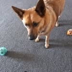 Maree Wilson - @maree5205 - Instagram