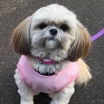 Maree Wilson - @mareejwilson68 - Instagram