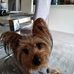 Maree Wilson - Facebook