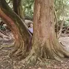 Marek Bloch - @marek.bloch87 - TikTok