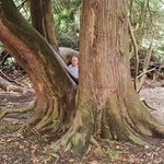 Marek Bloch - @marek.bloch.7927 - Instagram